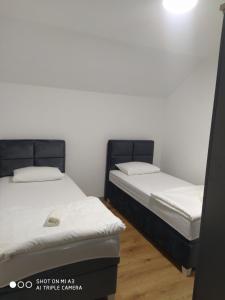 two beds in a room with white walls and wooden floors at Stan Pljevlja in Pljevlja