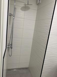 a shower with a glass door in a bathroom at Apartments Adelheid in Wathlingen