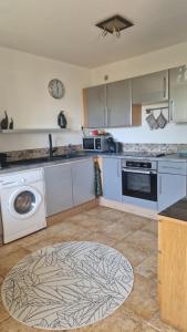 a kitchen with a washing machine and a dishwasher at Les Hautains in Saint-Genis-Pouilly