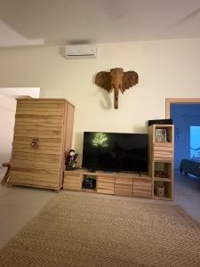 a living room with a large flat screen tv at Villa Dérimbeault in Oyster Pond