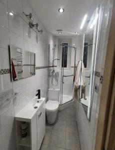 a white bathroom with a toilet and a shower at Blackapartment2Kawalerka in Olsztyn