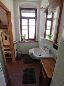 a bathroom with a sink and a toilet and a window at Vielstubenhaus - FeWo August in Pirna +17 photos