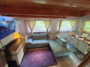 a living room with a couch and a tv at Dodo Land in Săcel