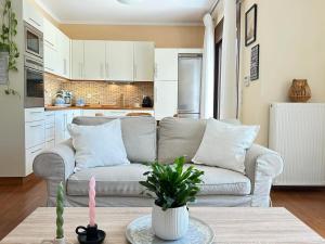 a living room with a couch and a kitchen at Rhodes Soul Luxury Home in Asgourou