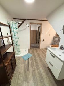 a bathroom with a sink and a toilet at Penzion Mlýnický Dvůr in Červená Voda +32 photos