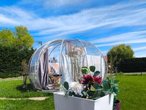 a dome tent in a field with a cactus at Cocoon Reflex'Ô in Escurolles