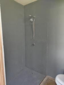 a bathroom with a shower with a glass door at Yek Hostels in Santa Ana +10 photos