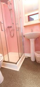 a bathroom with a shower and a sink and a toilet at Hôtel Duchesse Anne in Lourdes