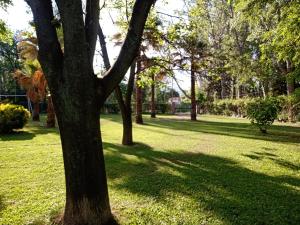 Gallery image of Refugio Vintage en vistalba in Las Compuertas