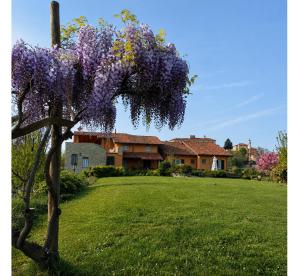 a tree covered in purple flowers in a yard at Alisea Eco Residence in Pocapaglia