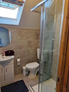 a bathroom with a toilet and a glass shower at Bellmullet, Waterside Townhouse in Belmullet +50 photos