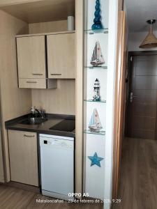 a kitchen with a sink and a dishwasher at Estudio DUNA BLANCA in Matalascañas