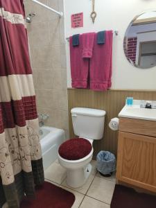 a bathroom with a toilet and a sink at Canton Motel in Canton