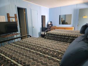 a hotel room with two beds and a television at Canton Motel in Canton