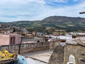 a view of a city with a mountain in the background at Hostel Dar Caftan in Fez