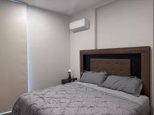 a bedroom with a large bed with gray pillows at Guadalajara American visa - 2 bedrooms in Milpillas