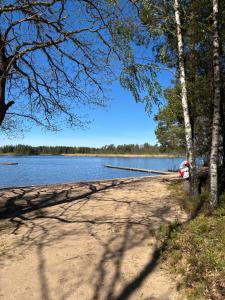 a dirt road next to a body of water at Nyrenoverad stuga mellan två sjöar in Järlåsa +12 photos