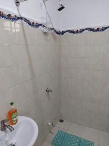 a bathroom with a sink and a shower at El Gato de la Jungla in Lagunillas +16 photos
