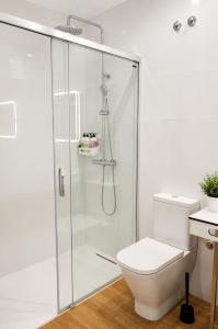 a bathroom with a shower with a toilet and a sink at Malladoura Passive House in Porriño +38 photos