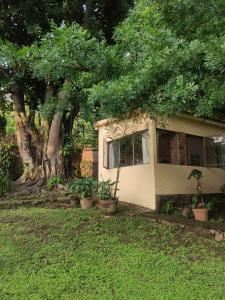 a house with trees and plants in a yard at Rincón de la Luna in Tepoztlán