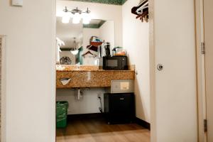 a bathroom with a counter and a sink in a room at Emerald Dolphin Inn & Mini Golf in Fort Bragg