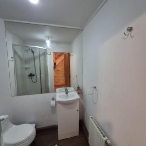 a bathroom with a toilet and a sink and a shower at Lodge De Ñuble in Las Trancas +85 photos