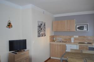 Kuchyňa alebo kuchynka v ubytovaní Apartament Ustrzyki