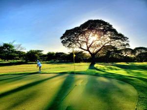 a person standing on a golf course with a tree at Avellanas Tiny Villa 1BR Private Self check in in Santa Cruz