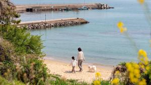 a woman and a child and a dog on the beach at Geoje Erion Pet-Friendly Pension in Geoje