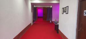a hallway with a red carpet and a pink door at Hotel Sunrise inn in Nārdiganj +2 photos