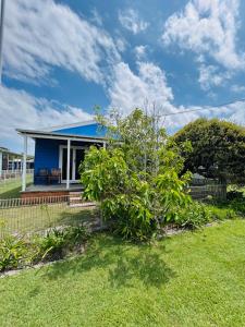 a blue house with a bush in front of it at Bonnydoon at Hat Head - 5 Oak Street in Hat Head