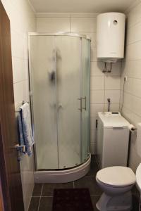 Kúpeľňa v ubytovaní Apartments Dina + 37 fotografií