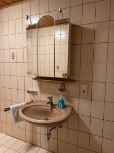 a bathroom with a sink and a mirror at Ferienhaus Seilerbahn 17 in Vallendar +30 photos