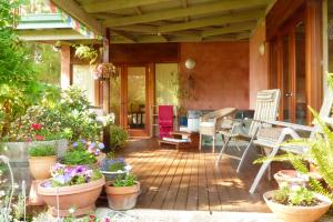 eine Terrasse mit einem Haufen Topfpflanzen in der Unterkunft Innisfree Mountain Retreat in Denmark