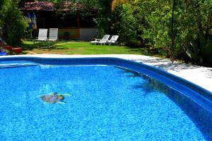 Bazén v ubytování Cabañas el Chalet nebo v jeho okolí