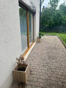 a patio with two potted plants next to a building at Rückzugsort in Reichenbach