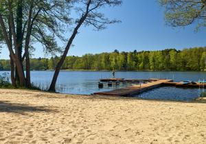 a dock on a lake with a person standing on it at Lipowa Przystań in Tarnów Jezierny