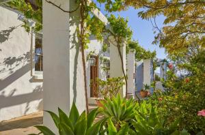 a white house with trees and plants at Chalcedony in McGregor