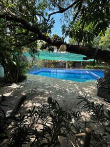 a swimming pool in the middle of a yard at Commander Suites de Velada in Antipolo