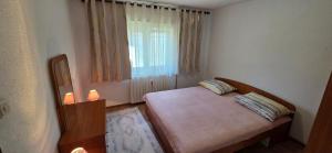 a small bedroom with a bed and a window at Zlata Apartment in Fužine