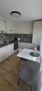a kitchen with a white table and chairs in it at Apartamentai AGNIJA in Kretinga