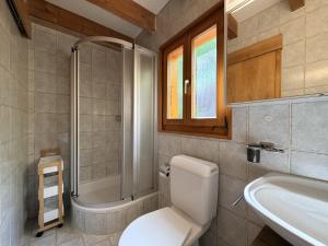 a bathroom with a toilet and a shower and a sink at Mont Bijou MOUNTAIN & QUIET chalet 10 pers by Alpvision Résidences in Veysonnaz +22 photos