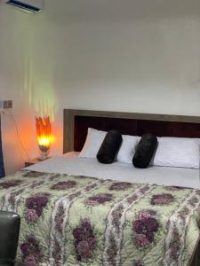 a bedroom with a bed with two pillows on it at PLV Apartment in Ilorin