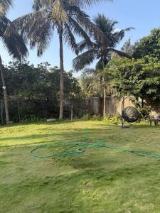 a green hose on the grass in a yard with palm trees at shreeraj farms in Kolshet