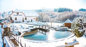 a snow covered yard with a pond in front of a building at Penzion U Černého Potoka in Nová Lhota
