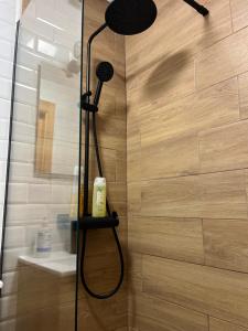a bathroom with a shower with a glass door at Estudio bajo la escalera in Redondela