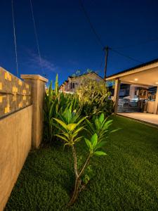 a small tree in a yard next to a house at Eryna Homestay in Nibung Tebal