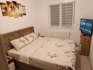 a bedroom with a bed and a window and a television at Top Spa apartman in Banja Koviljača