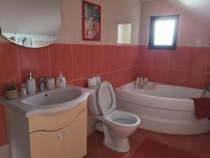 a bathroom with a sink and a toilet and a tub at Casa Roxana in Pangarati +40 photos