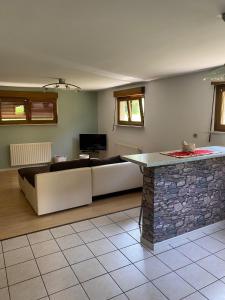a living room with a couch and a stone counter at Côté Jardin in Bourgheim